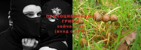 гидропоника Заволжье